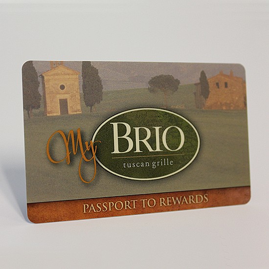 Discount and Promotional Cards Allegheny Printed Plastics